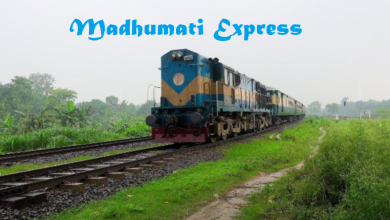 Madhumati Express