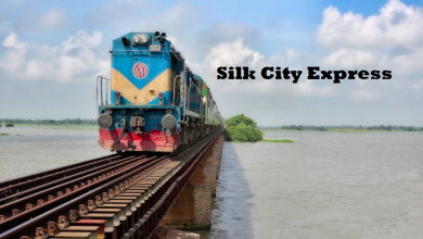 Silk City Express